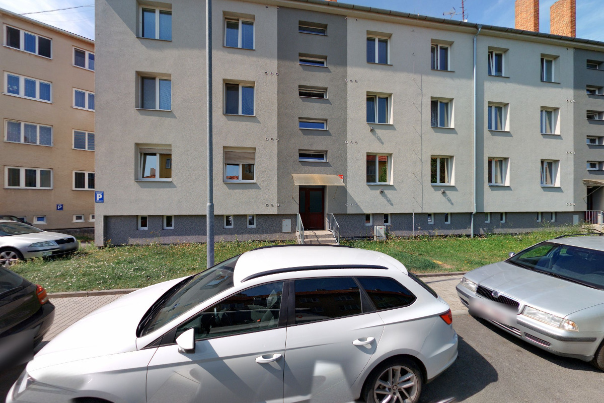 Dana Navrátilová - Dog Therapy