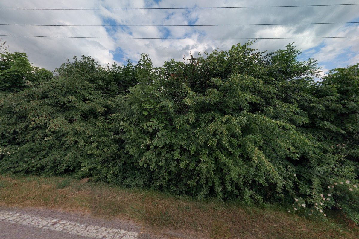 Moravský rybářský svaz, z.s. pobočný spolek Rájec-Jestřebí