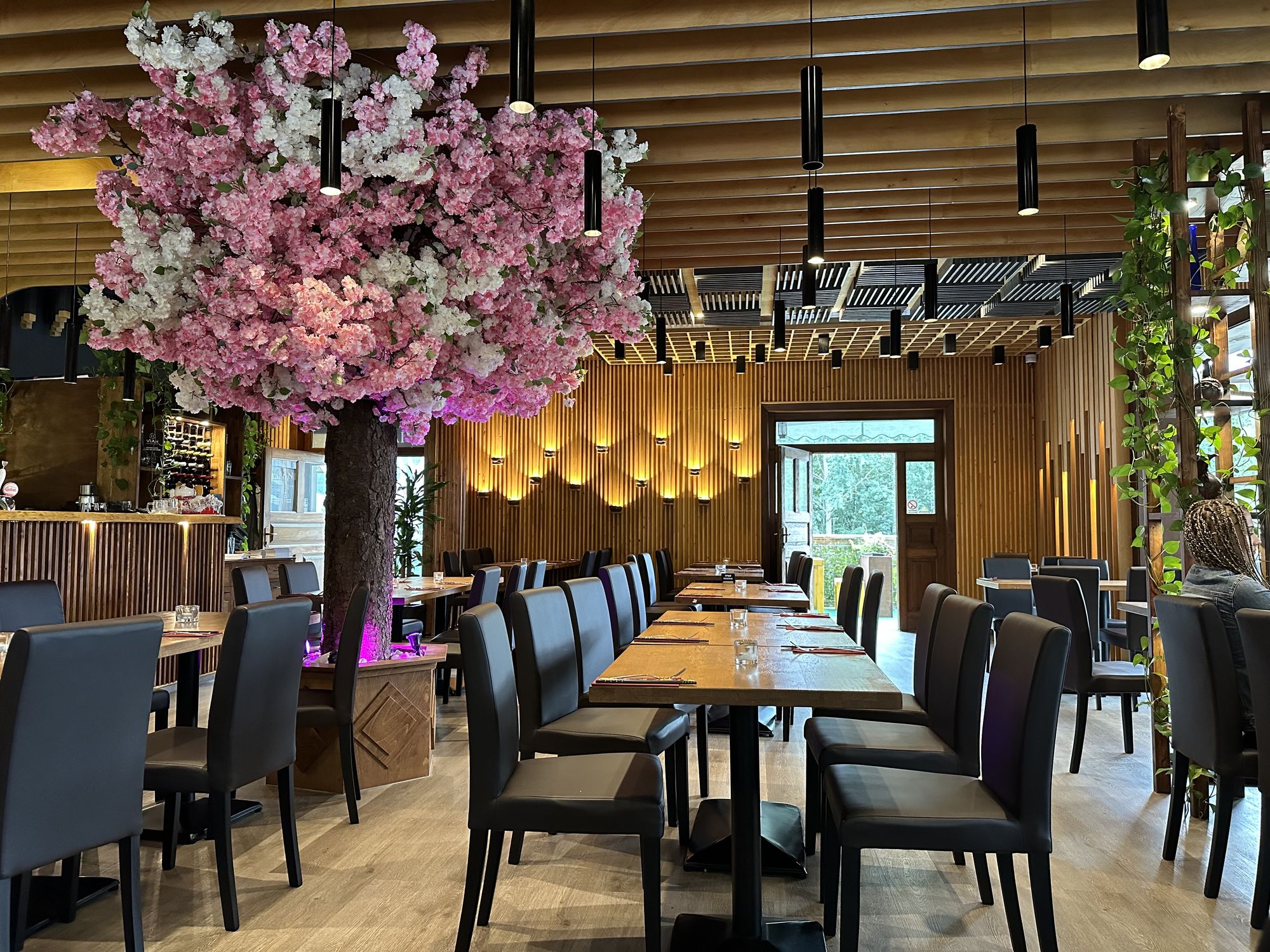 Vian asian cuisine & sushi bar foto 2