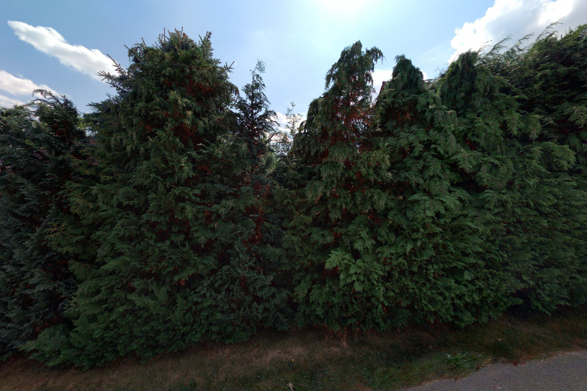 Kosmetické služby Veronika Babková