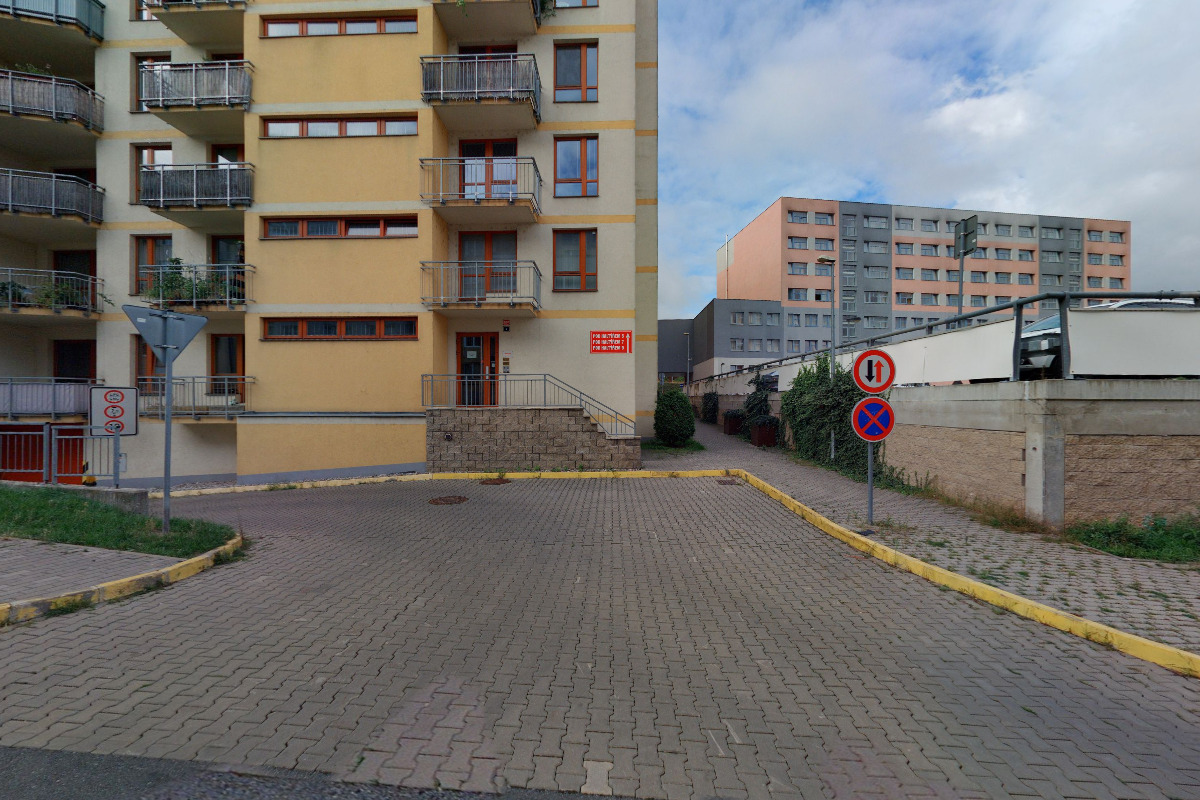 Venčení psů Praha