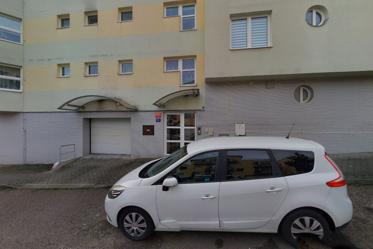 Marek Scheer - Prodej mořských živočichů foto 2