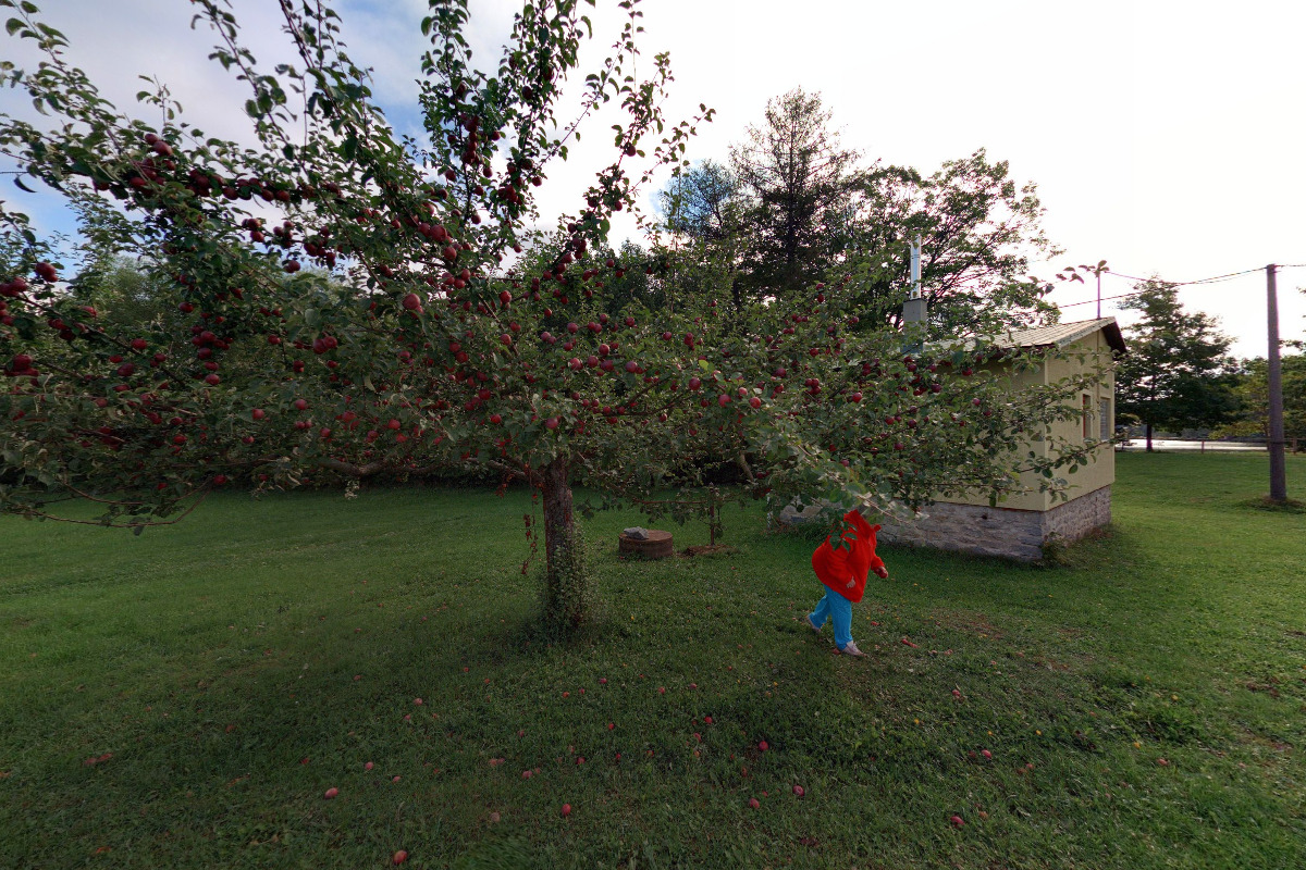 Rekreační chata 035