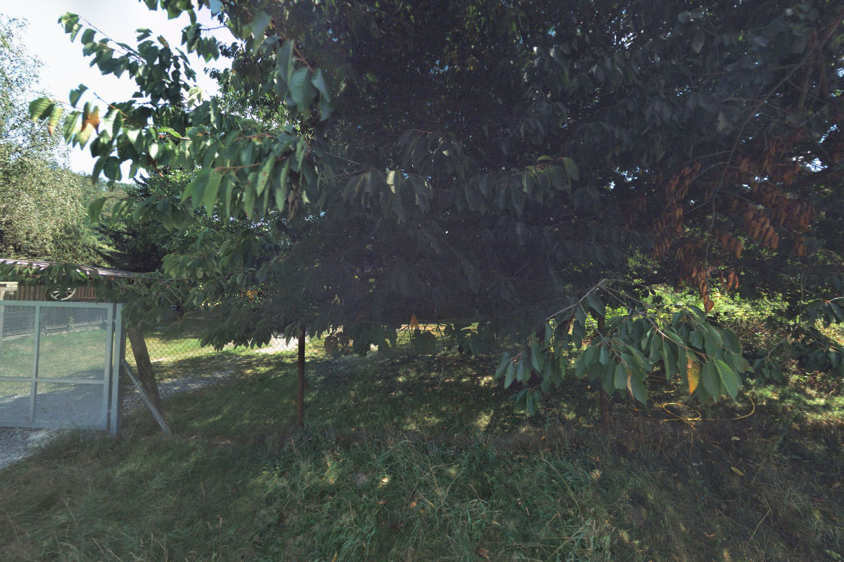 Milan Hlaváček foto 5