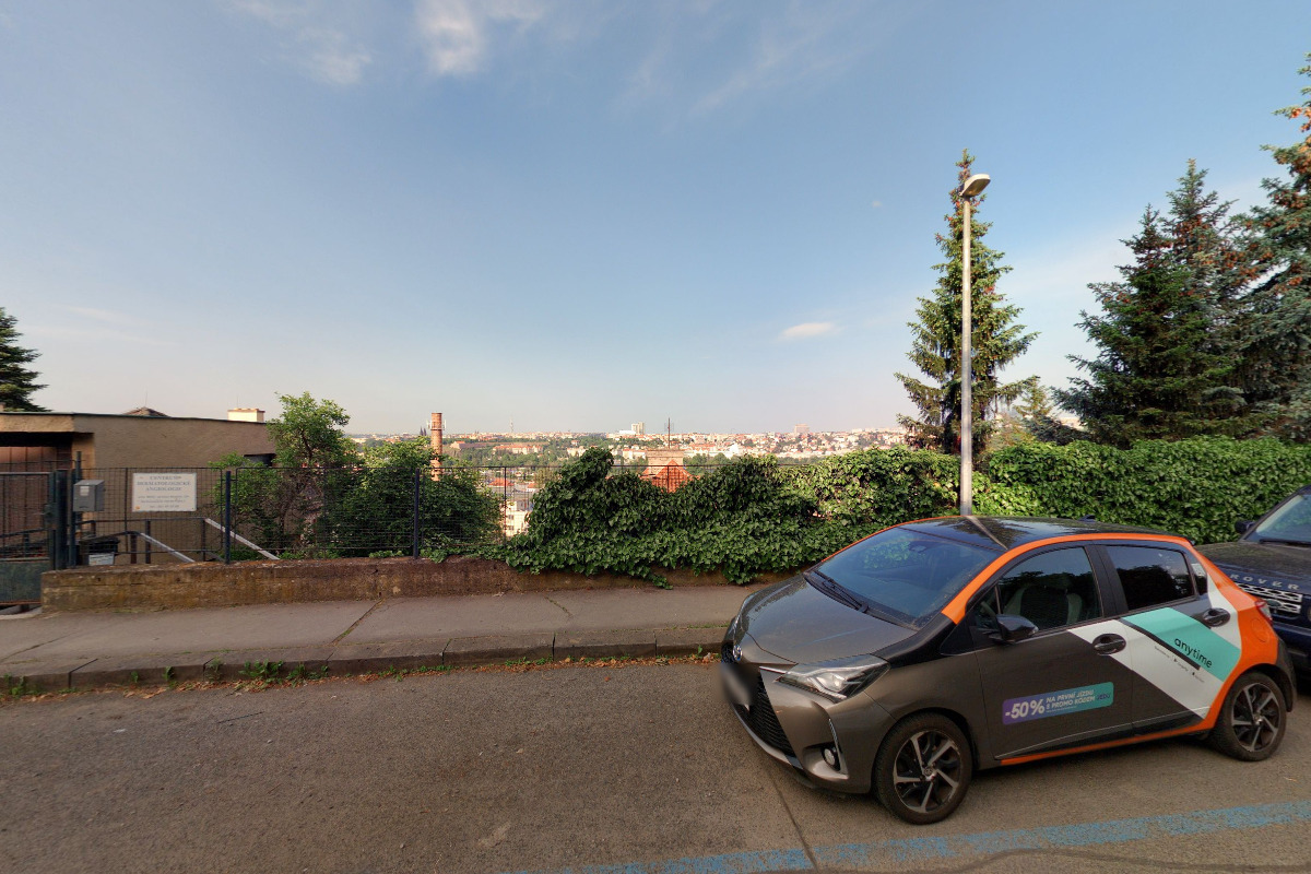 Česká flebologická společnost