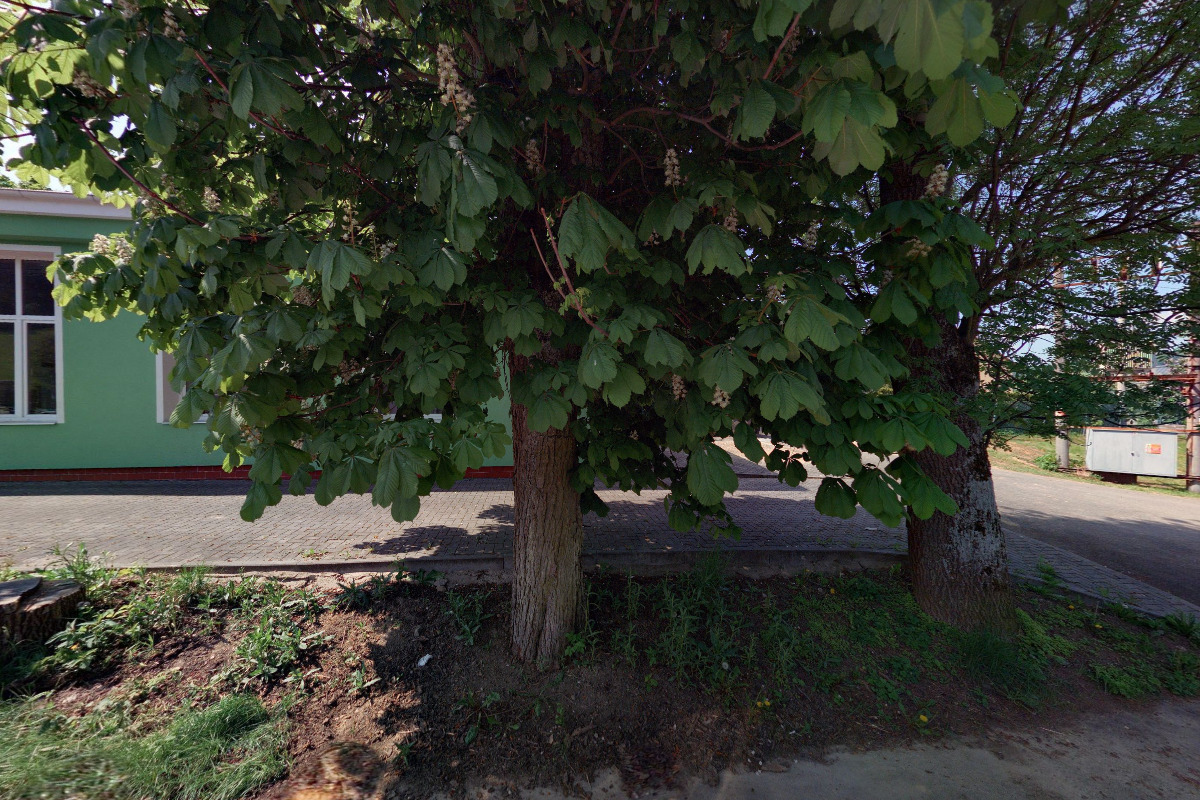 Dětský domov Hodonín u Kunštátu