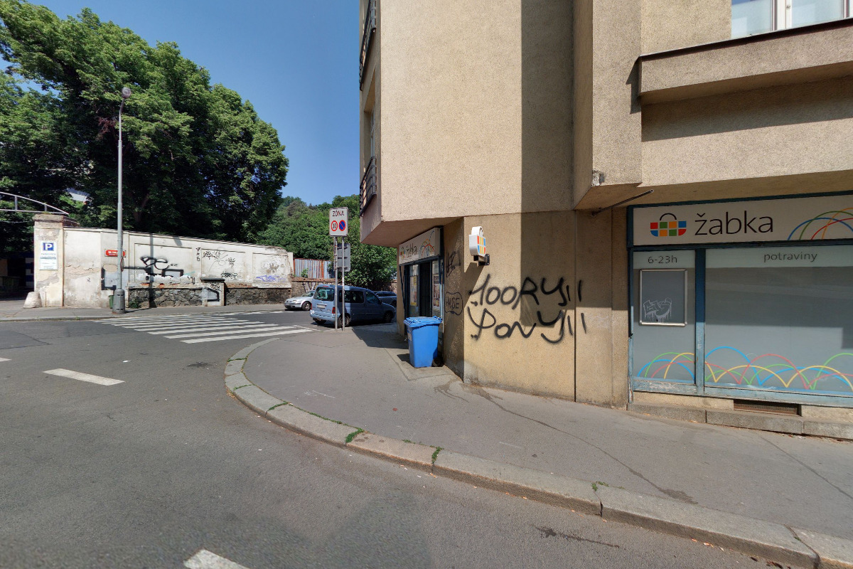 Žabka foto 3