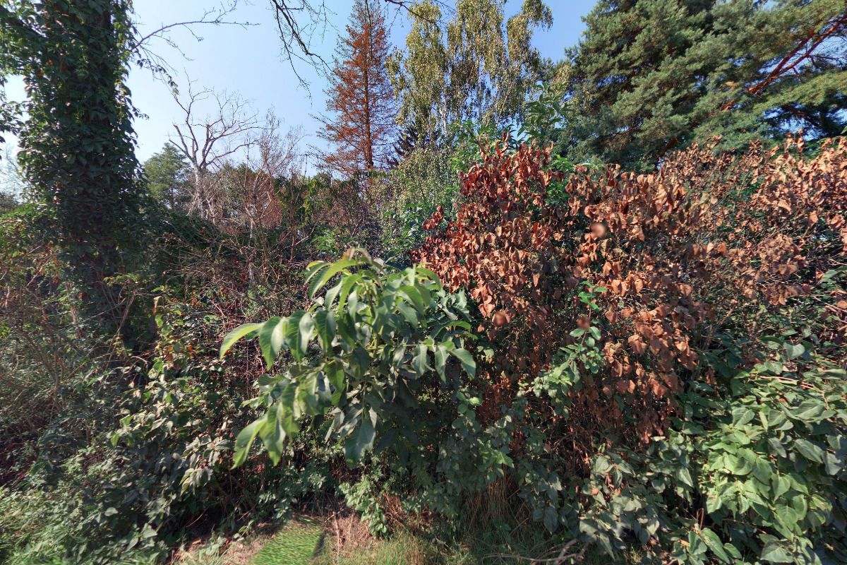 Junák - český skaut, středisko Žabovřesky Brno, Rupicol