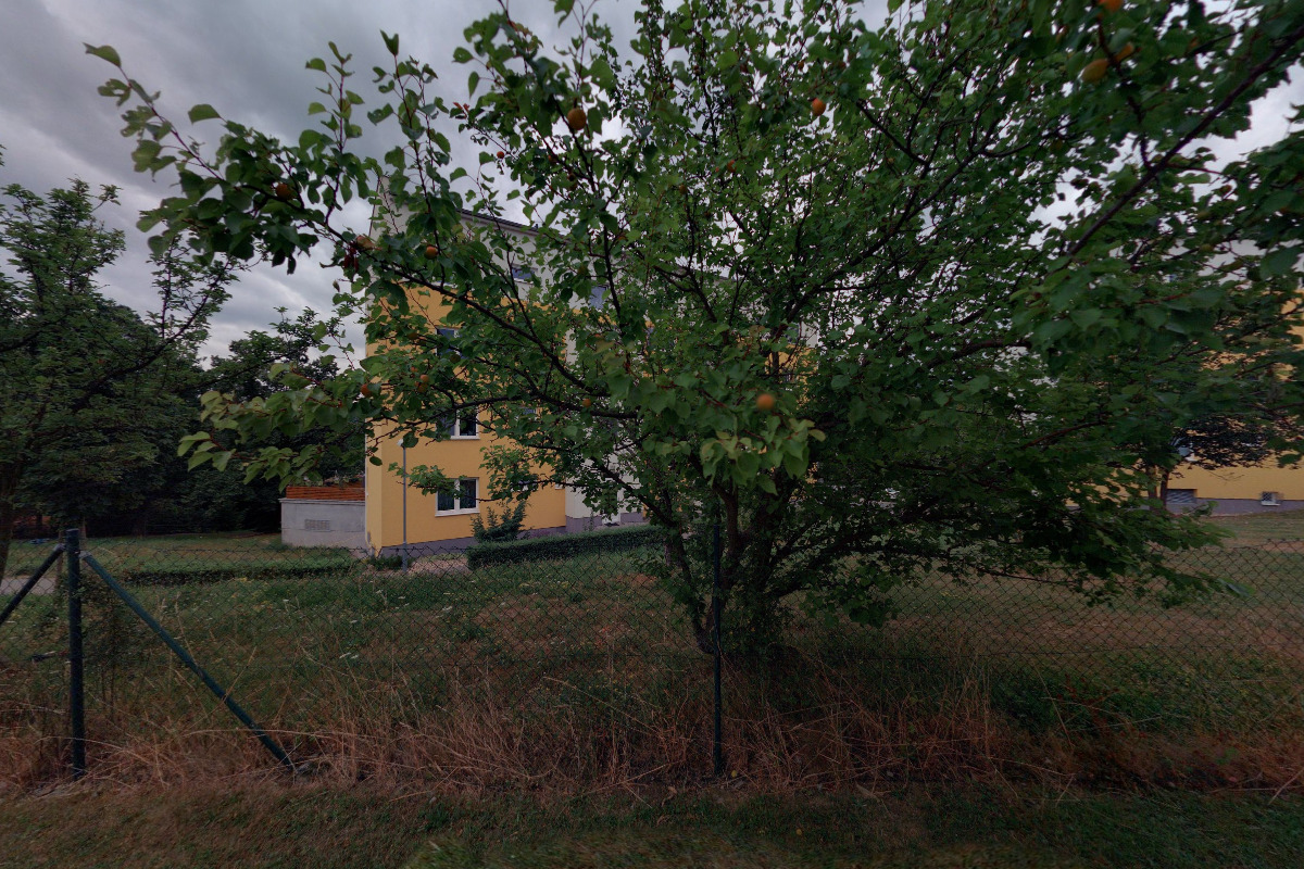 Ing. Tomáš Petránek