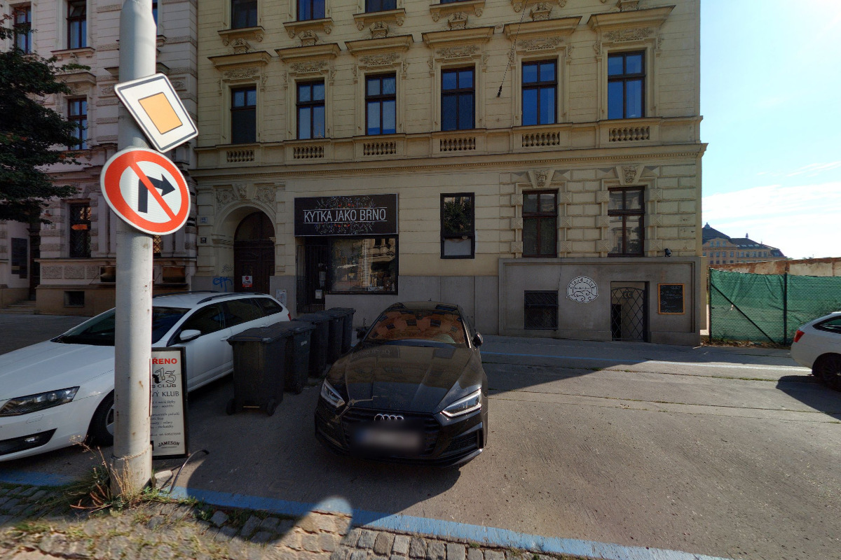 Kytka jako Brno foto 3