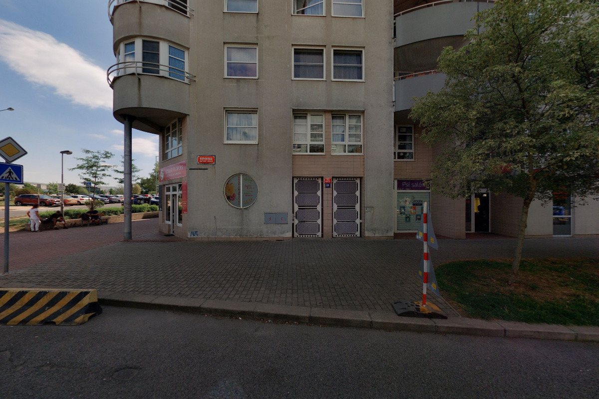 Almast Flowers: Květiny - Balónky - Dekorace foto 5