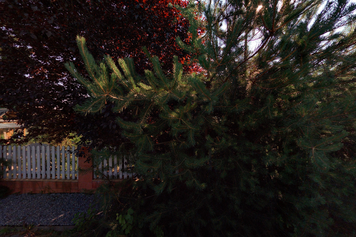 Audit energií Na Pastvinách