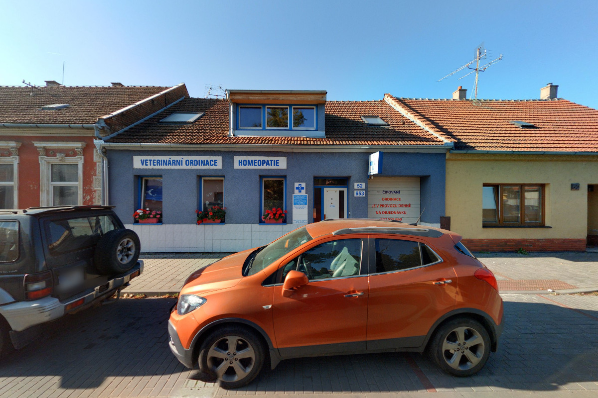 MVDr. Simona Müllerová - Alternativní terapie zvířat a lidí foto 2