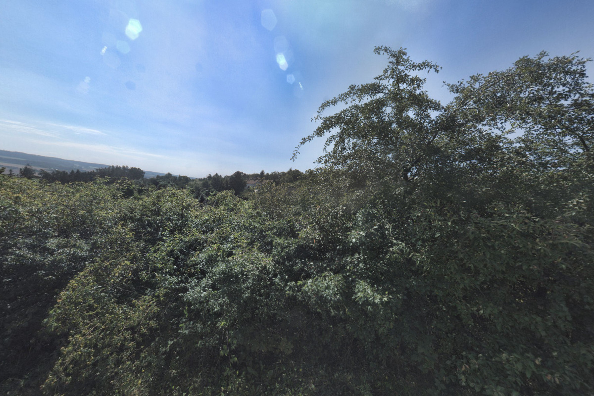 Příroda, včely a člověk, o.p.s.