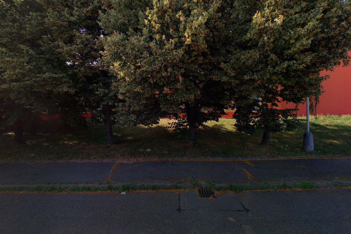 MUDr. BOHDANA ROZSYPALOVÁ