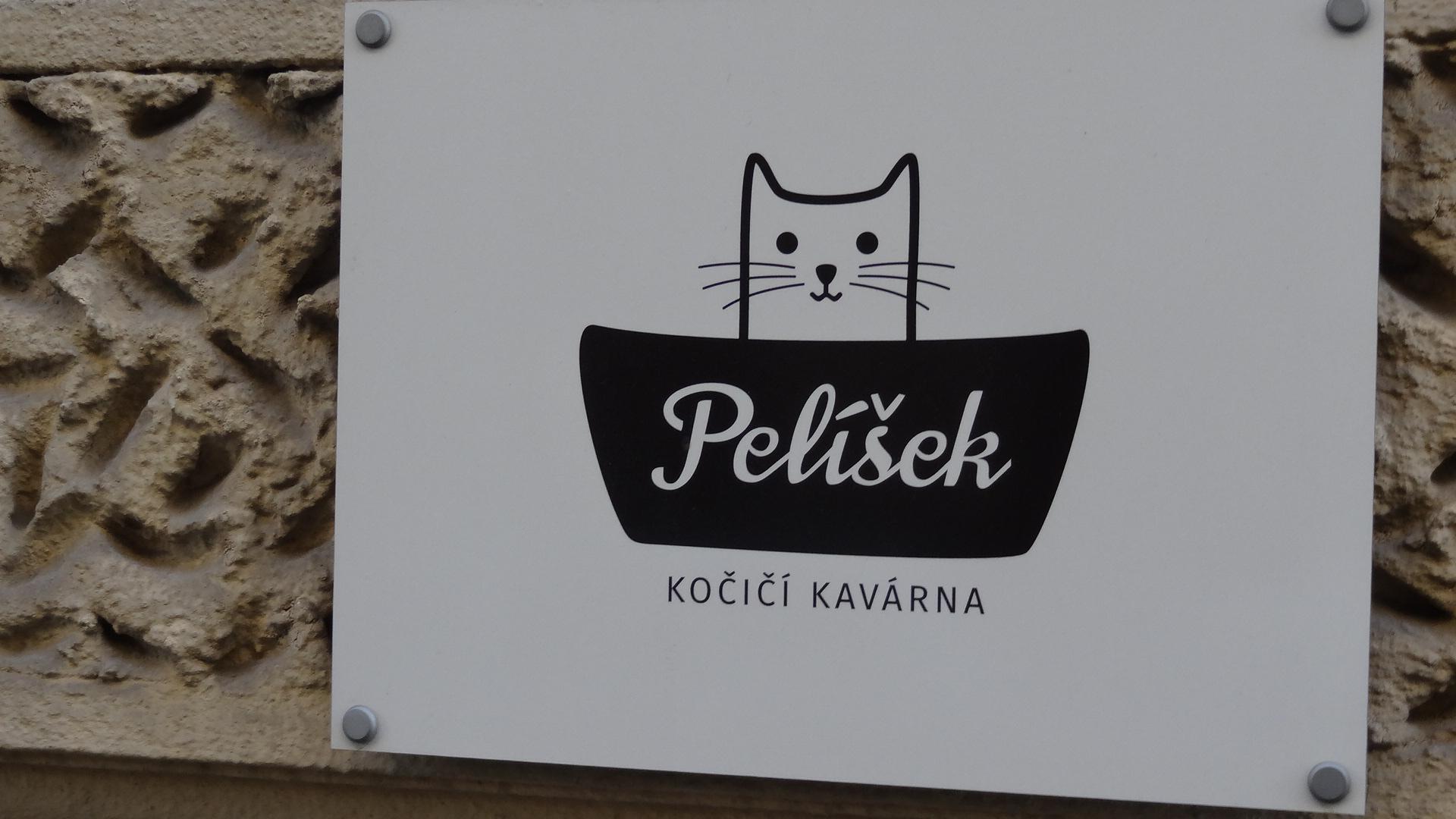 Pelíšek - kočičí kavárna foto 6