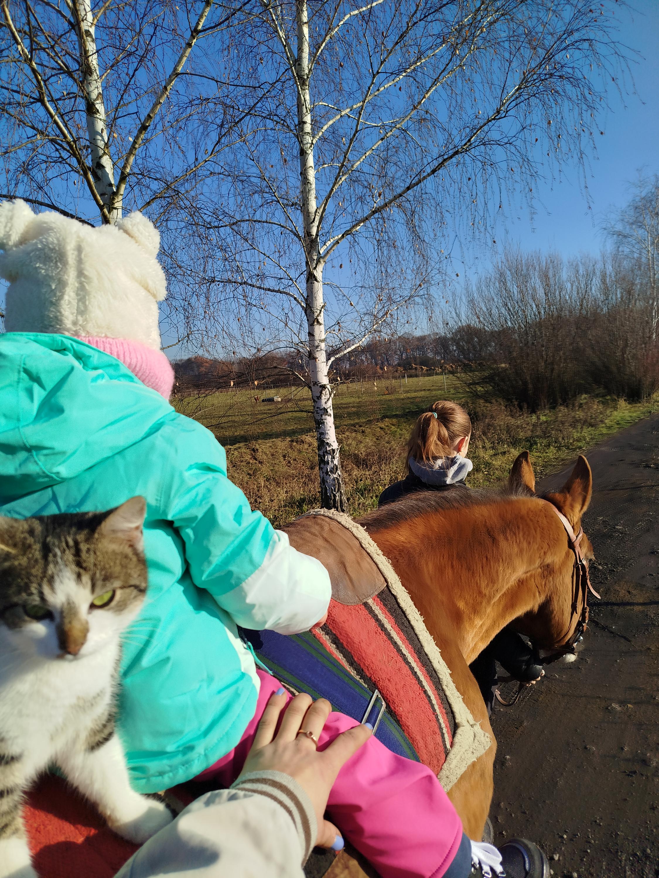 Stáj KoMoDaMa - Jezdecký spolek Borneo foto 5