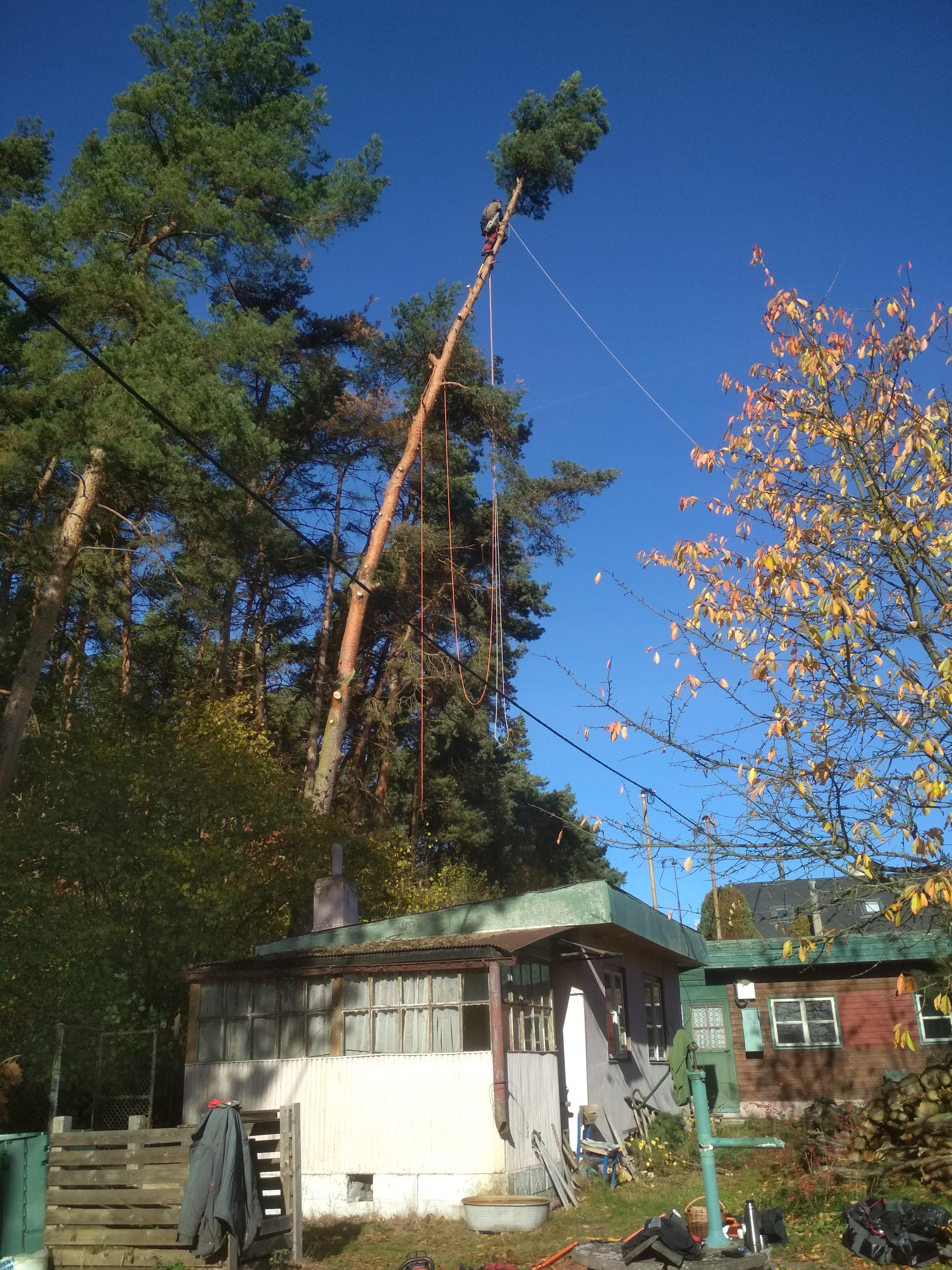 Arboristika Michal Sedláček foto 4