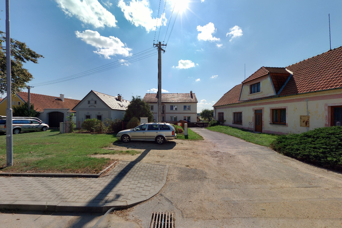 Dana Palečková foto 2