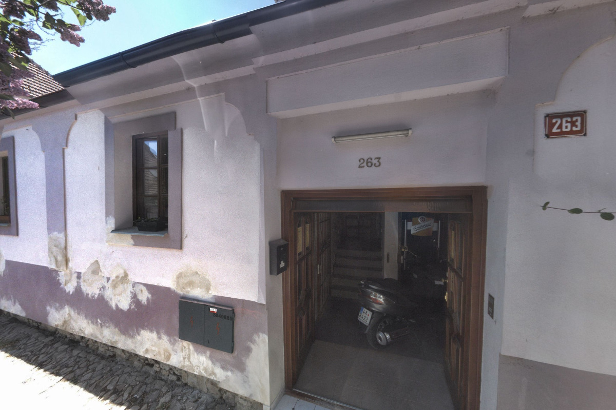 Masáže psů - Markéta Thielová foto 6