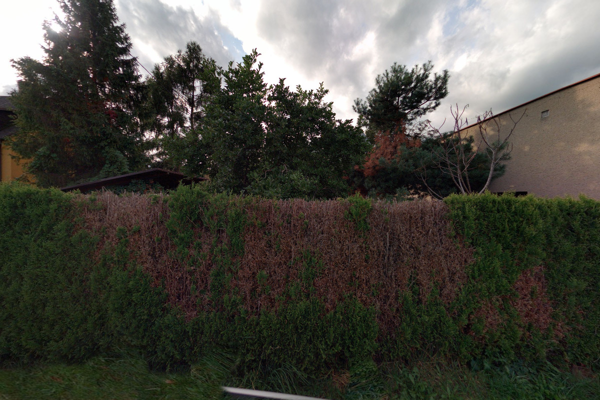 DH SERVICE PLUS, s.r.o. foto 1