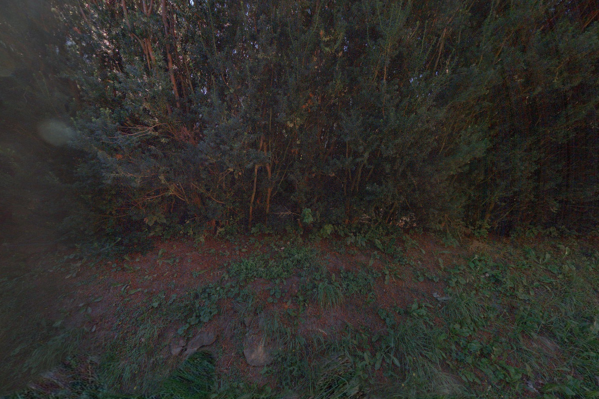 Roman Šilhavecký FE-AL