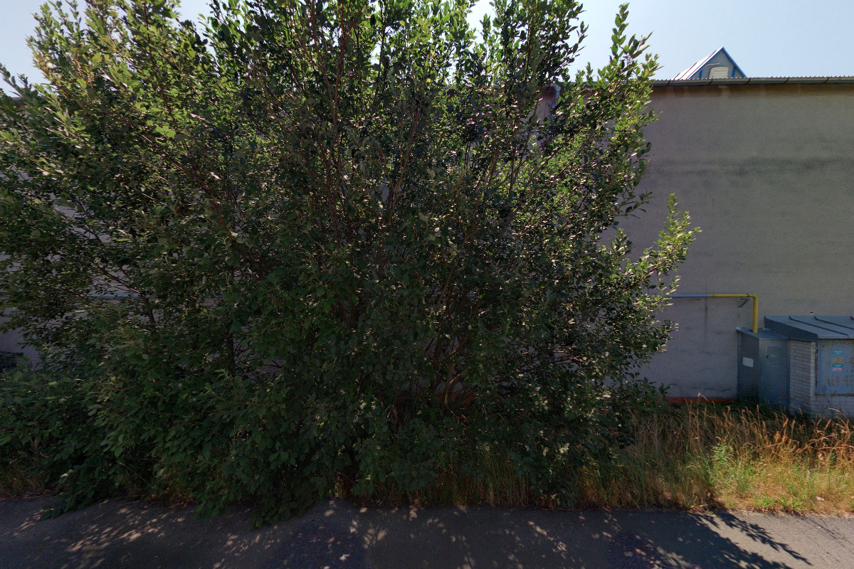 Linaset, a.s. - Member of BR Group