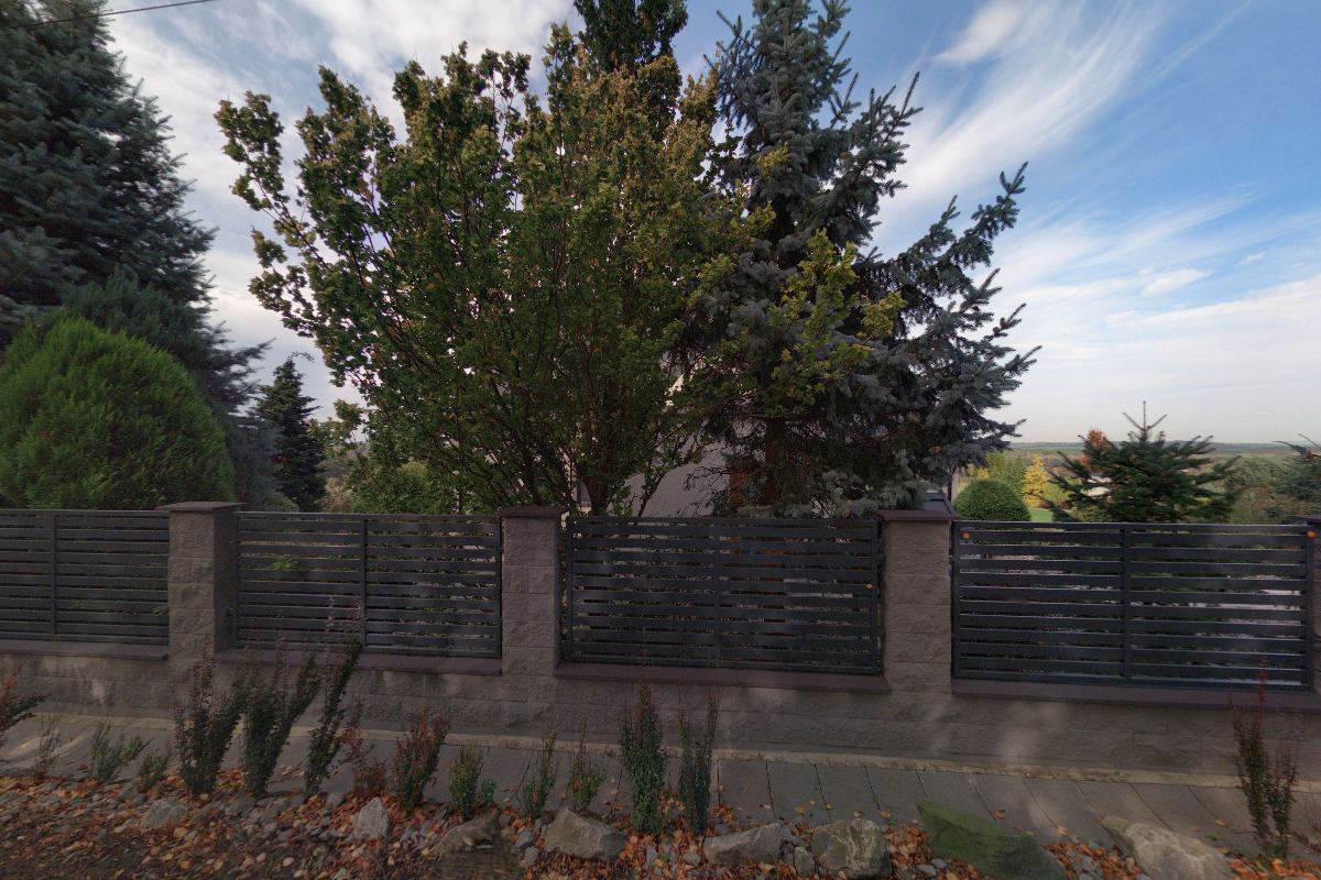 Bohumír Wanecki - MANAP