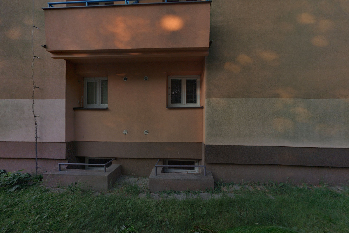 Hnutí Brontosaurus Chudák Svišť