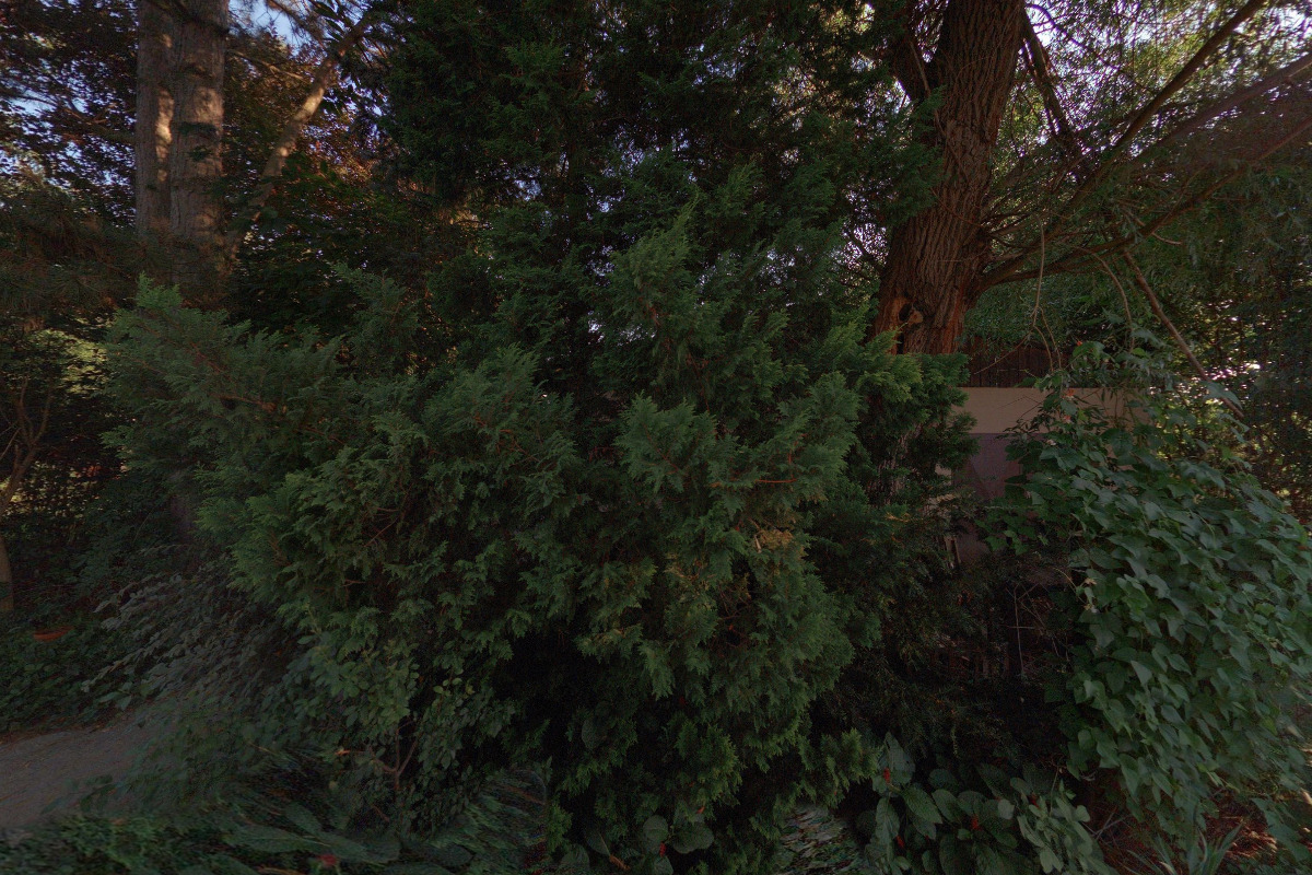 Junák - český skaut, středisko Racek Veselí nad Lužnicí