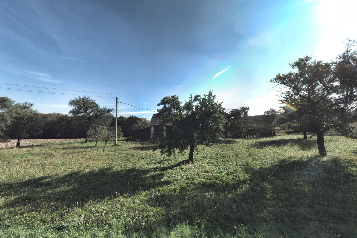 Kytky Z přírody foto 1