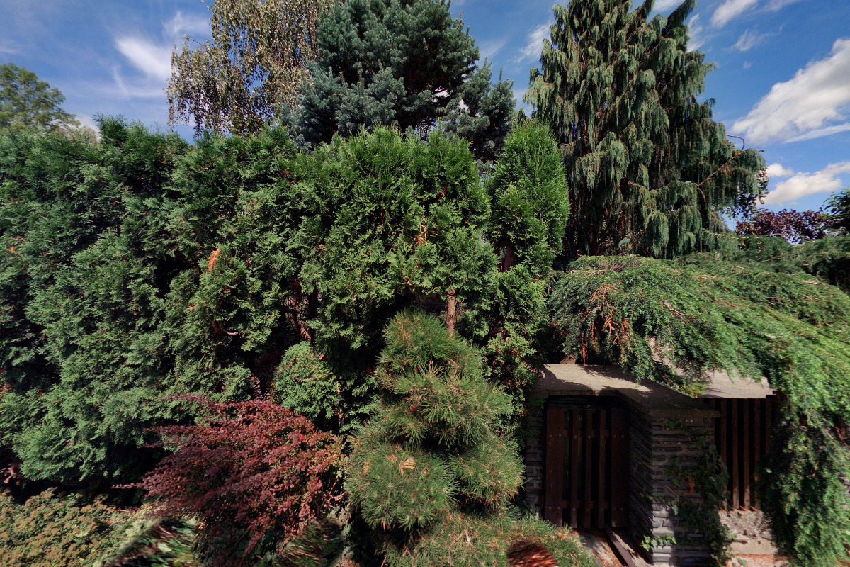 PhDr. Marie Slámová - STOB styl foto 1