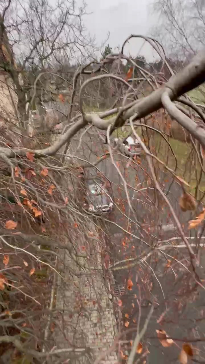 ForestWork Navařík foto 2 (náhled videa)