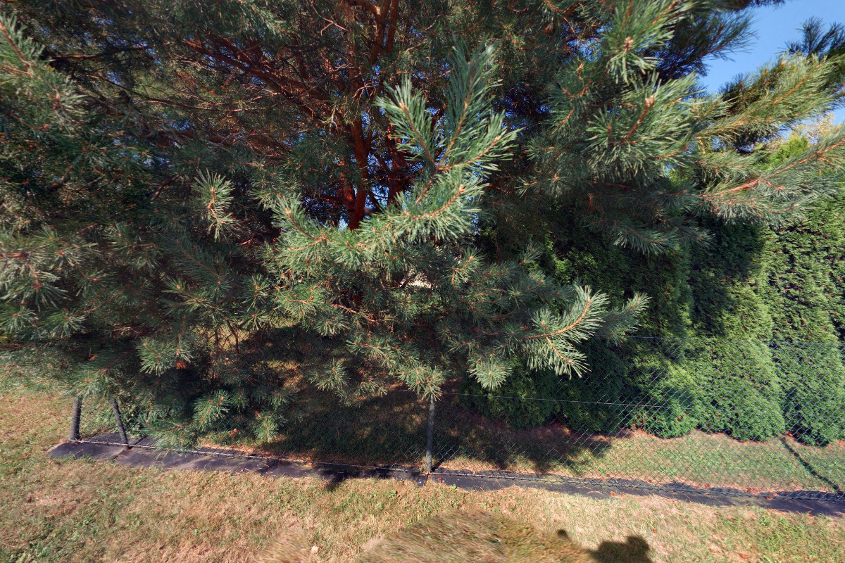 Kompletní servis jeřábů - Antonín Zajíc