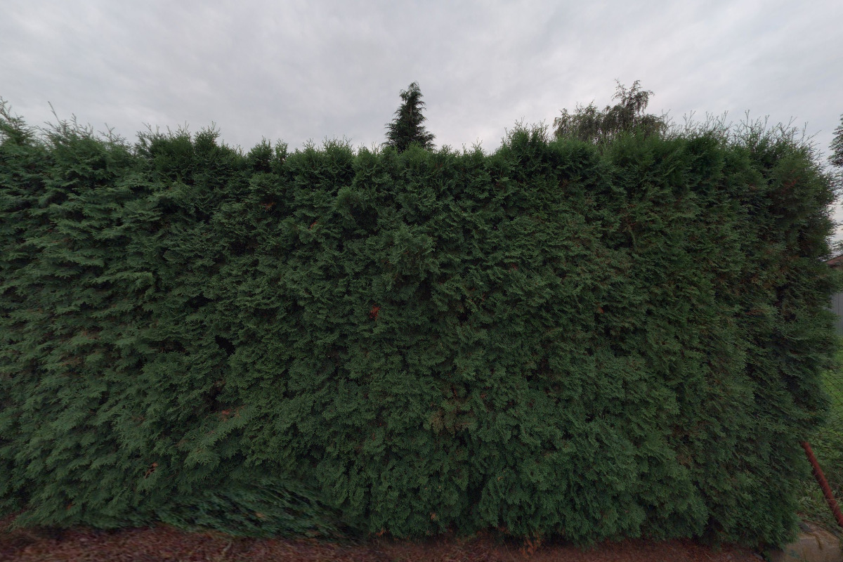 Jaromír Kargašínský