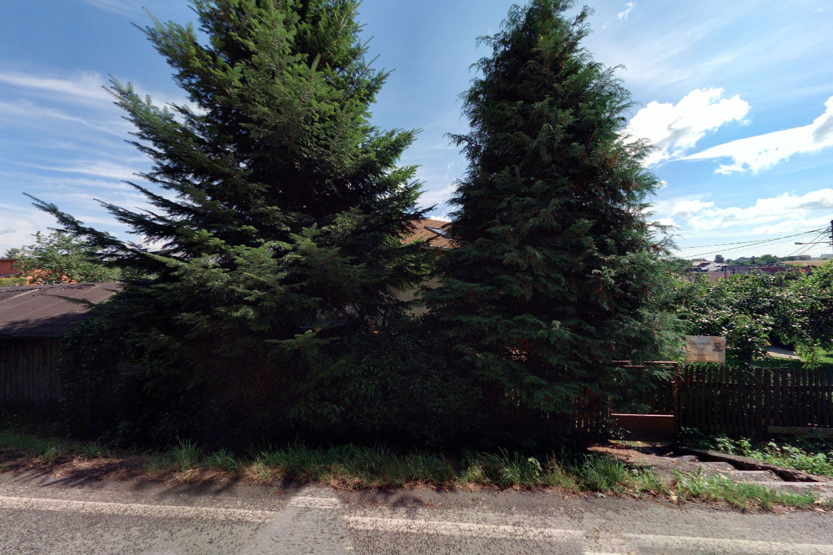 Kateřina Prokschová