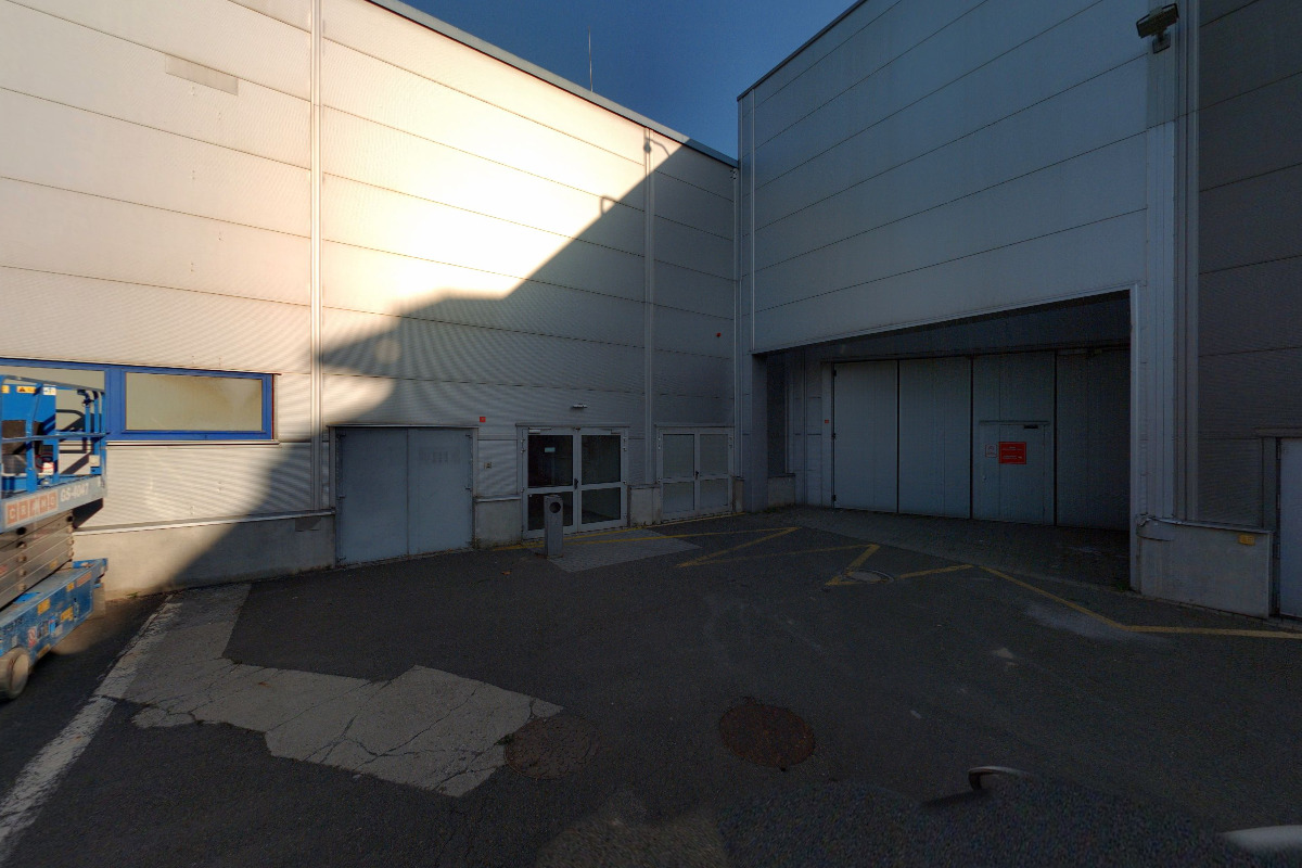 Divoký býk foto 2
