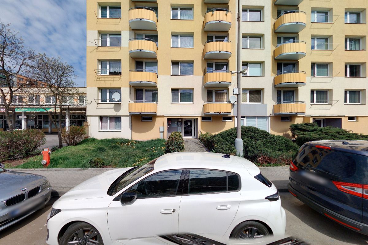 Bronislav Vopátek - rizikové kácení stromů foto 2