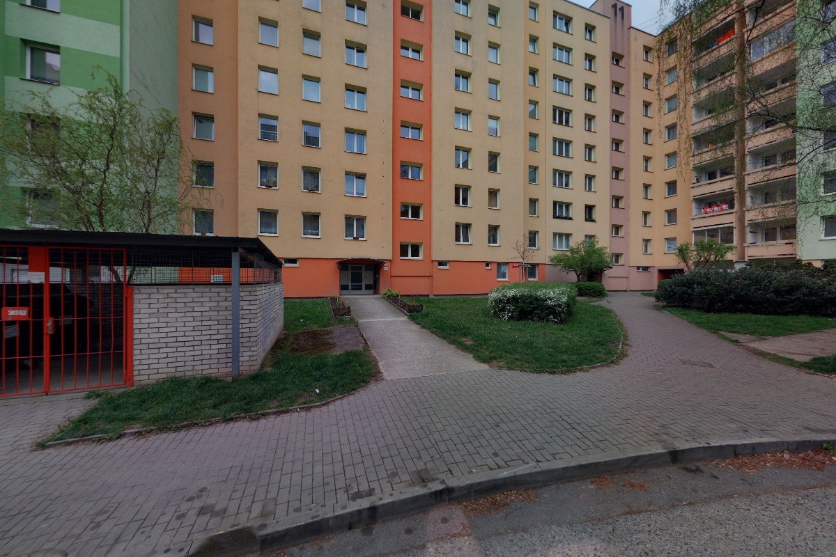 Ing. Petra Machová foto 2