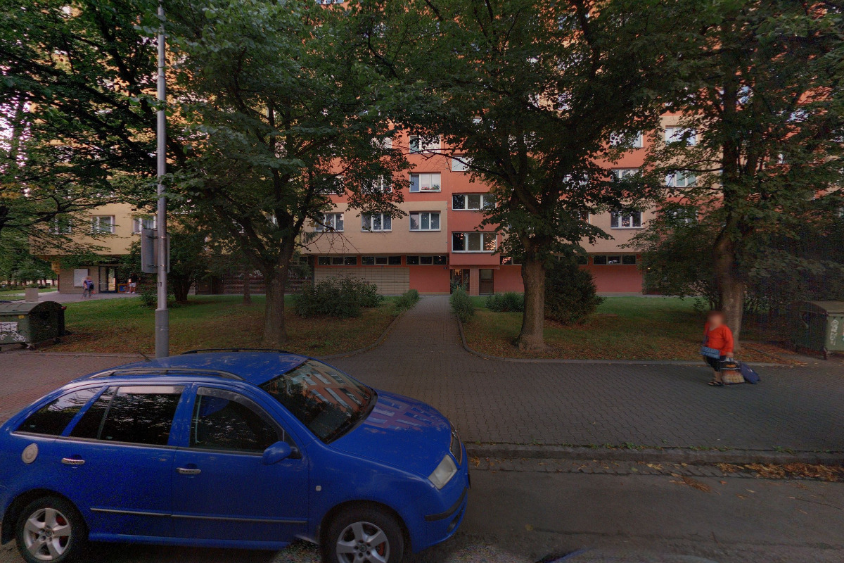 René Malina - rekonstrukce