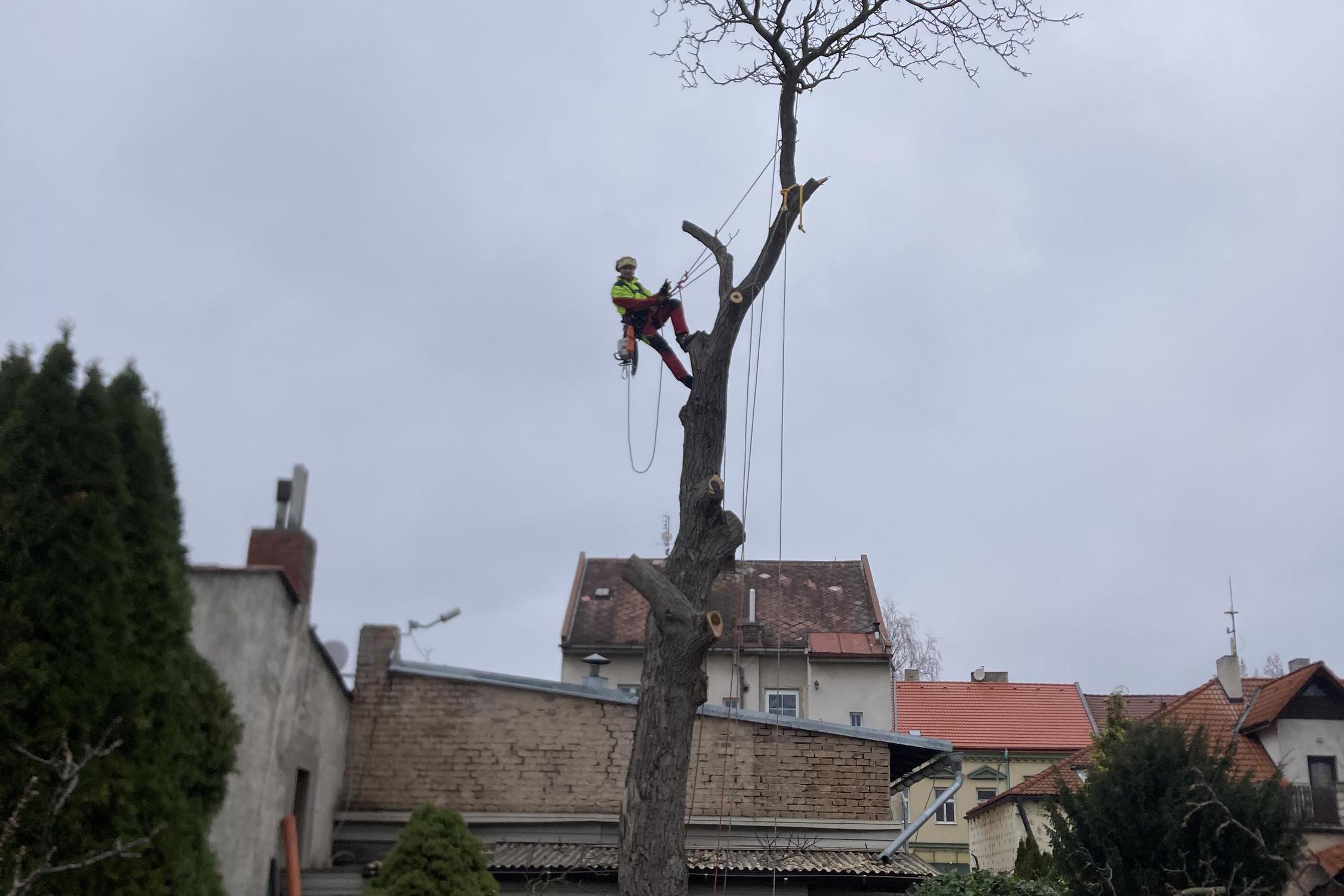 Péče o zeleň Petr Smatana