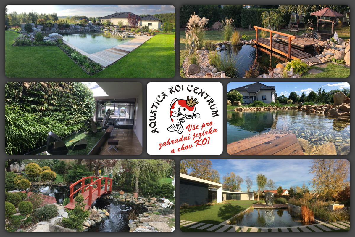 AQUATICA KOI CENTRUM