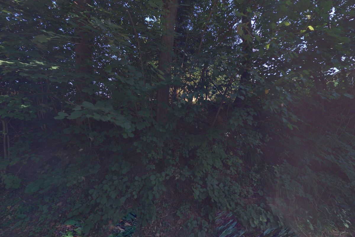 Ing. Miroslava Jopková foto 1