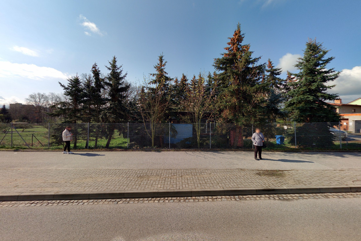 Útulek pro opuštěná a handicapovaná zvířata - kočky foto 2