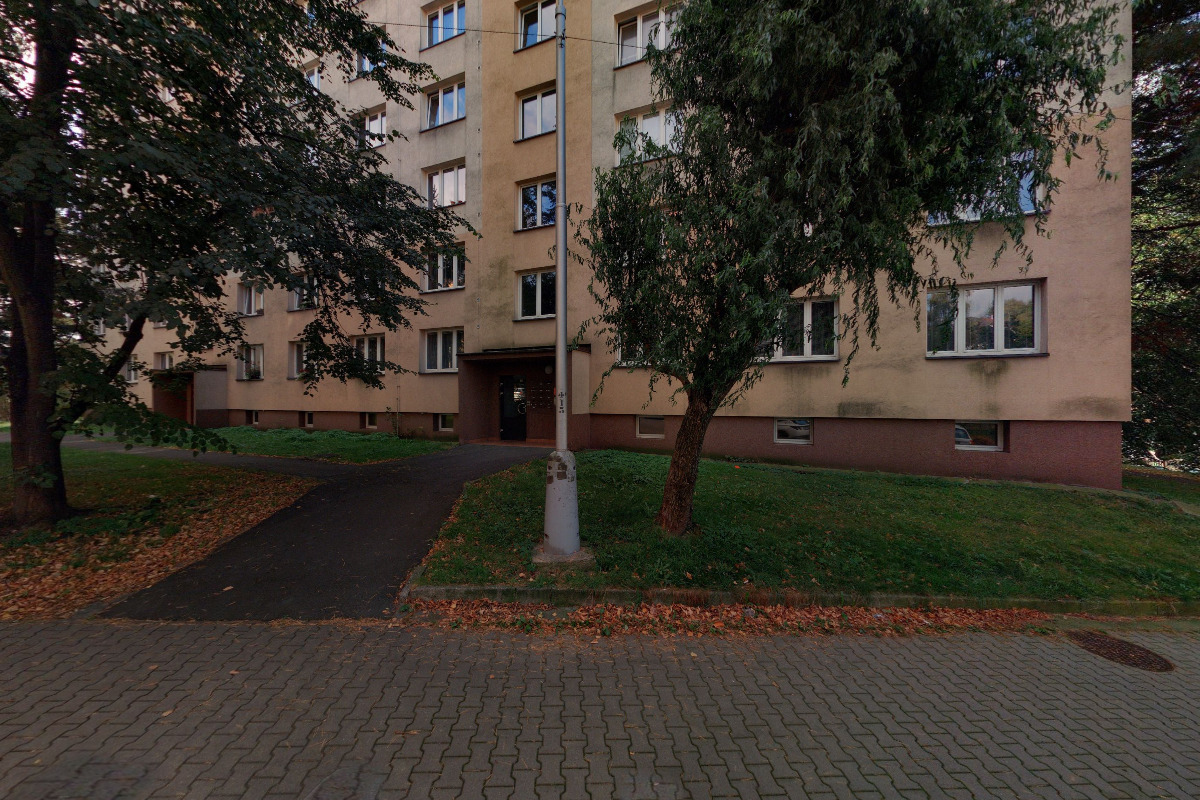 Blanka Křivková, DiS