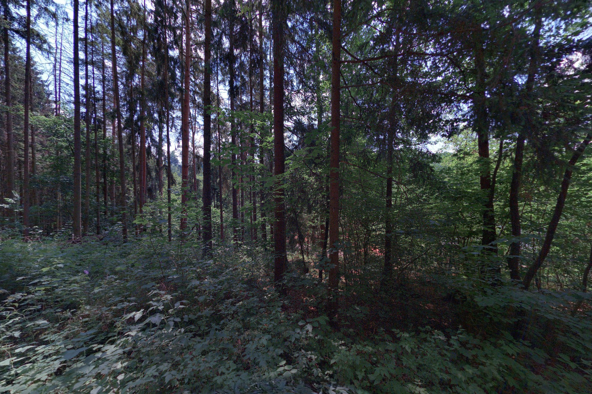 Anglický tábor EUROCAMP foto 5
