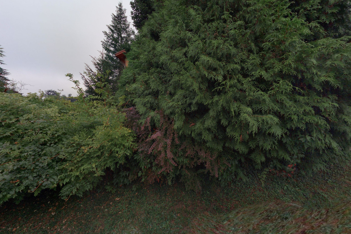 Vlastimil Raška - nákladní doprava foto 1