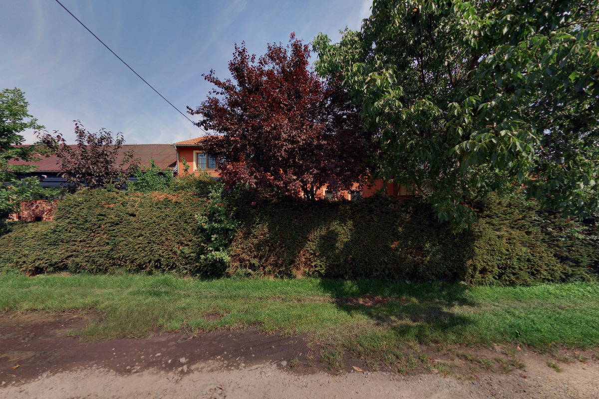 Lignumcorten.cz foto 2