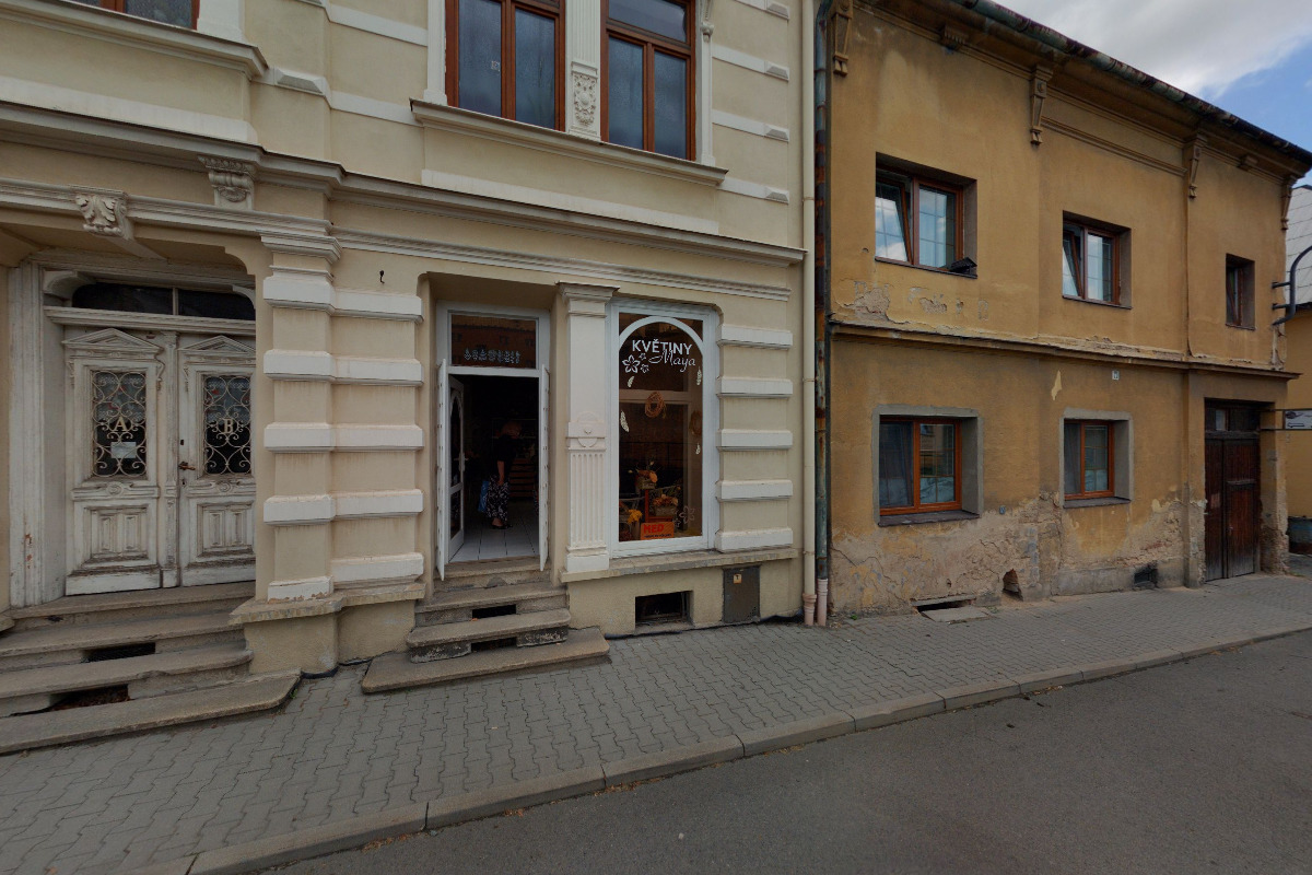 Květiny Maya