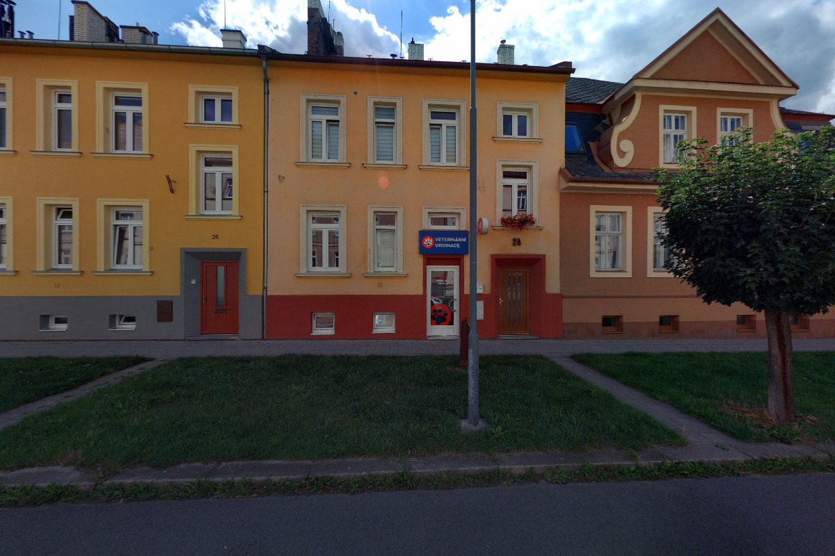 Veterinární ordinace Palackého foto 6
